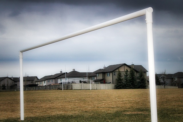 五连胜！中国冰壶男队“壶”力全开 锁定前三剑指米兰冬奥