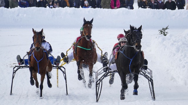 NBA交易市场最新动态：骑士完成引援,