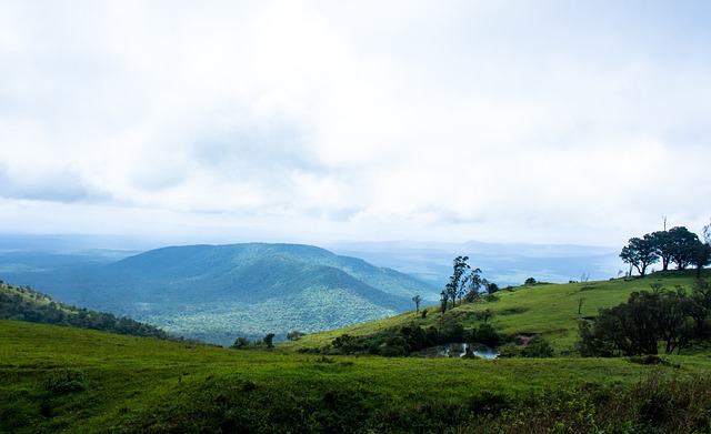 邮报：纽卡正努力与莱比锡就谢什科达成协议，球员愿意加盟