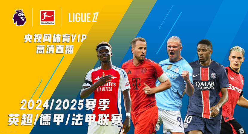 福勒谈伊萨克：他可能是90%利物浦球迷希望签下的球员