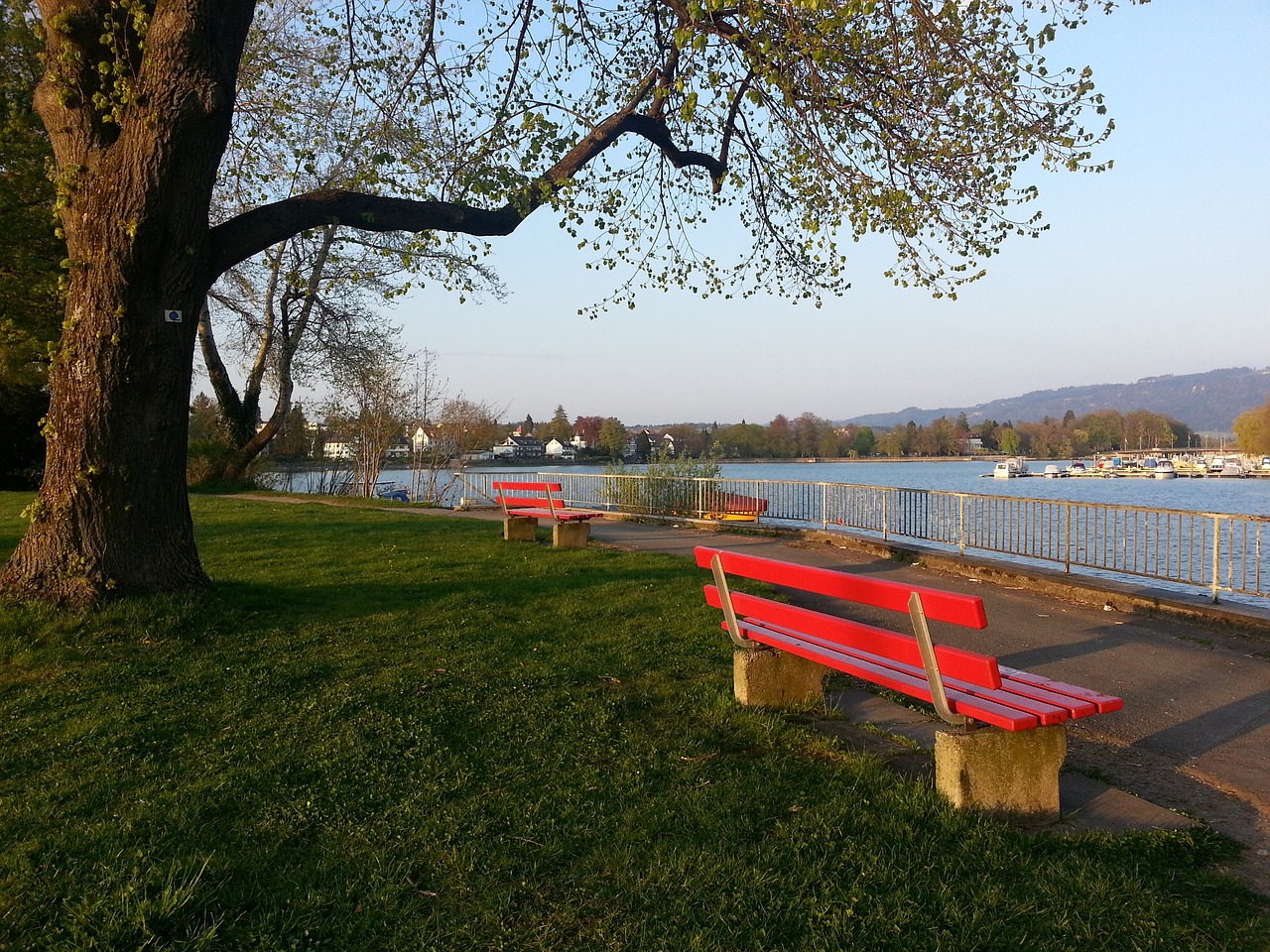 在实际比赛 在实际比赛