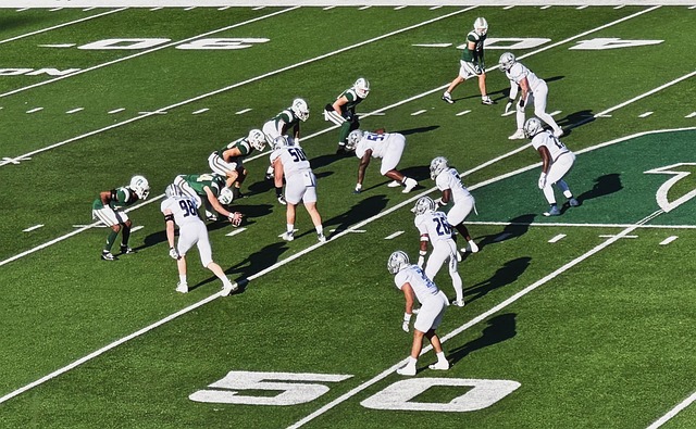 的适应能力 的适应能力