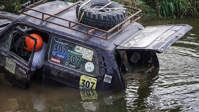 机器人必须 机器人必须