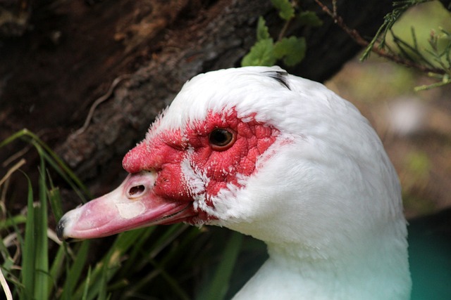 历自然的机 历自然的机