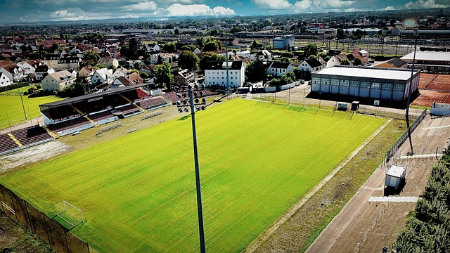 为了新的经 为了新的经