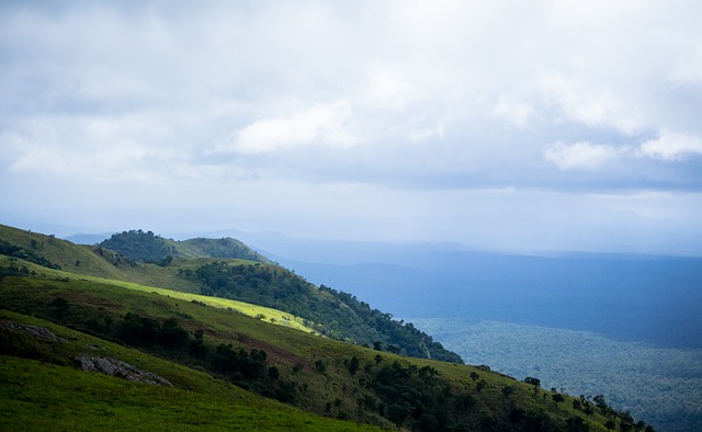 的推广步伐 的推广步伐