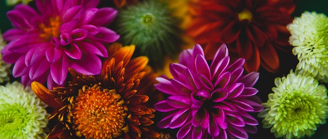 赛中展现出 赛中展现出