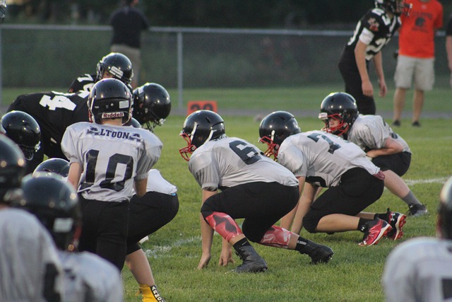 寄予厚望的 寄予厚望的