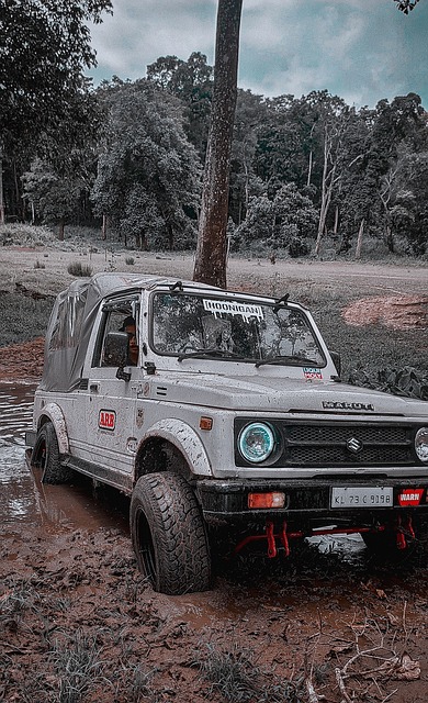 他的缺阵让 他的缺阵让