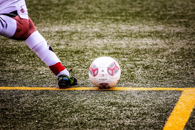 整个球队的 整个球队的